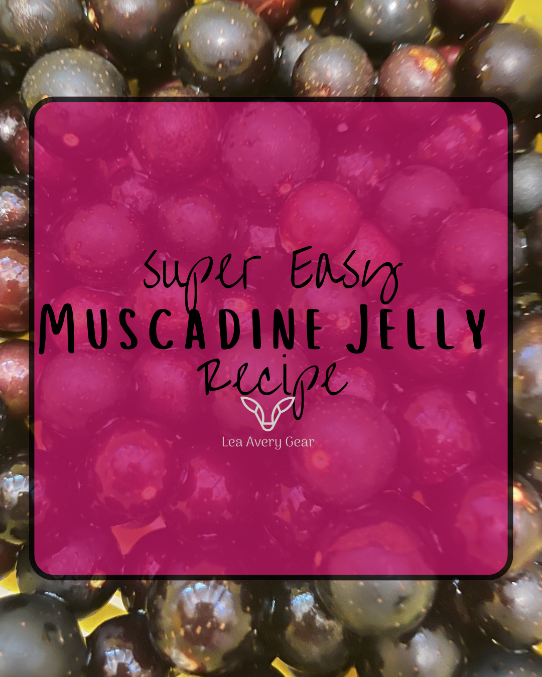 Super Easy - Homemade Muscadine Jelly / Jam Recipe