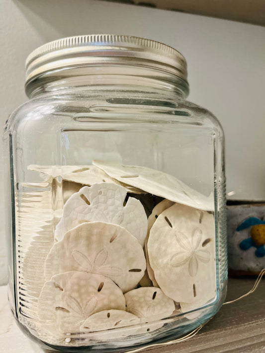 dried flowers in a jar